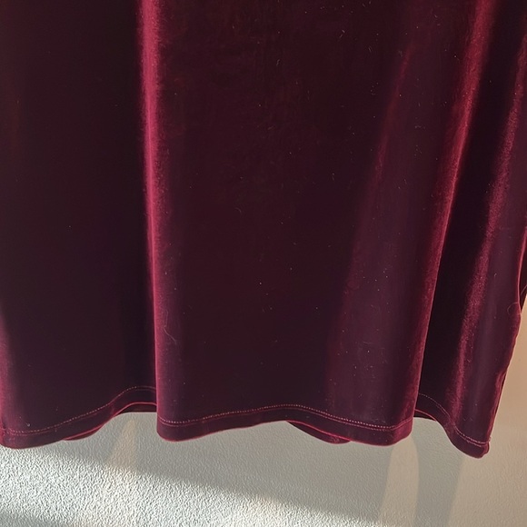 Abercrombie & Fitch   Velvet scoopneck Top short sleeves  deep maroon  Size S-M - Picture 7 of 12